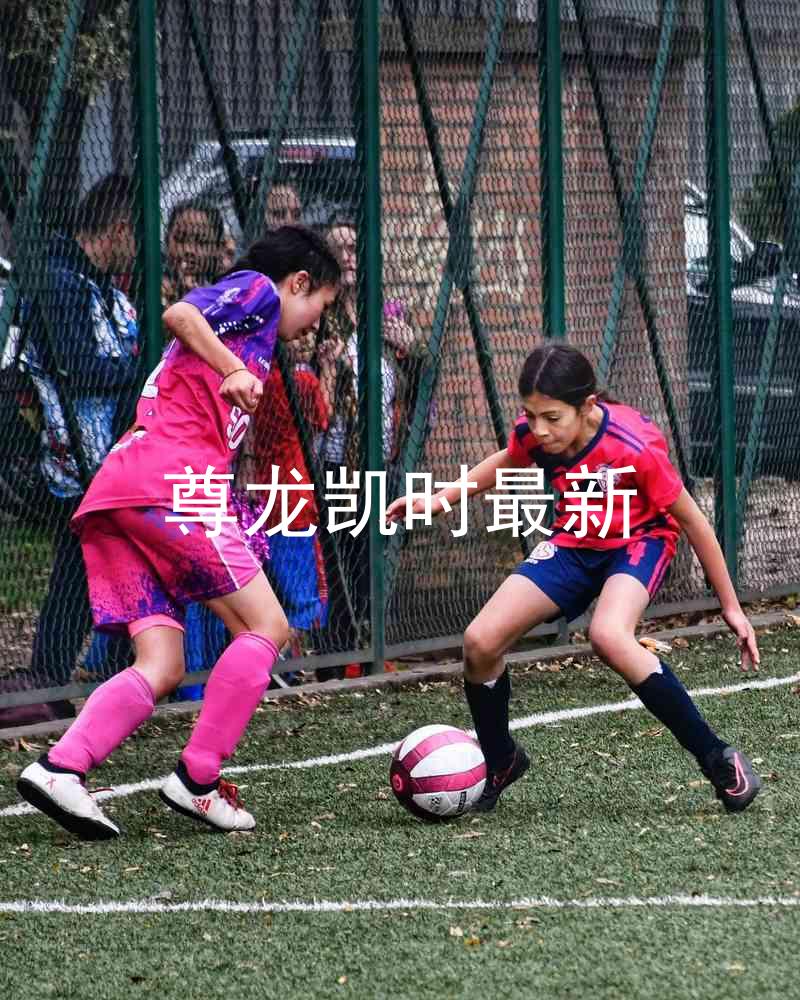尊龙凯时最新